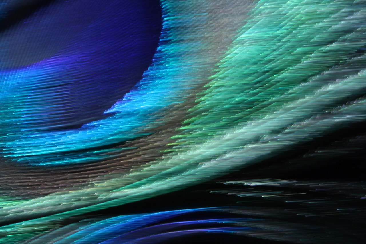 View Finders – Art All Around Us