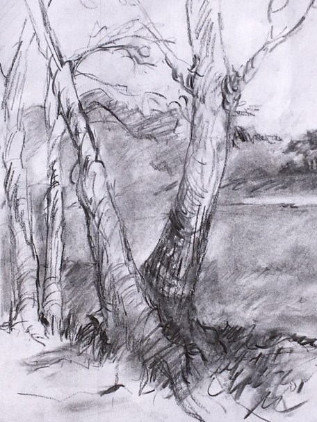 Explore Drawing