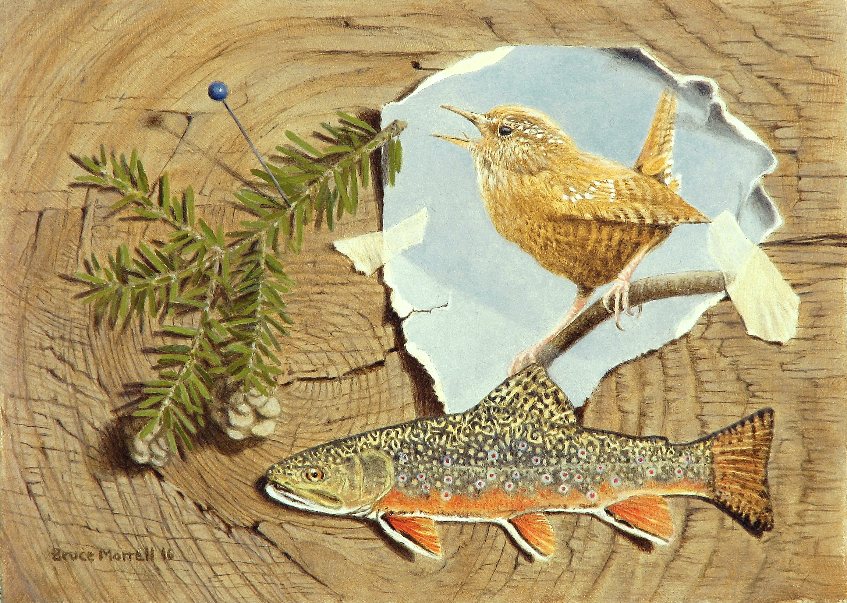 Feathers/Fins Exhibit: Bruce Morrell