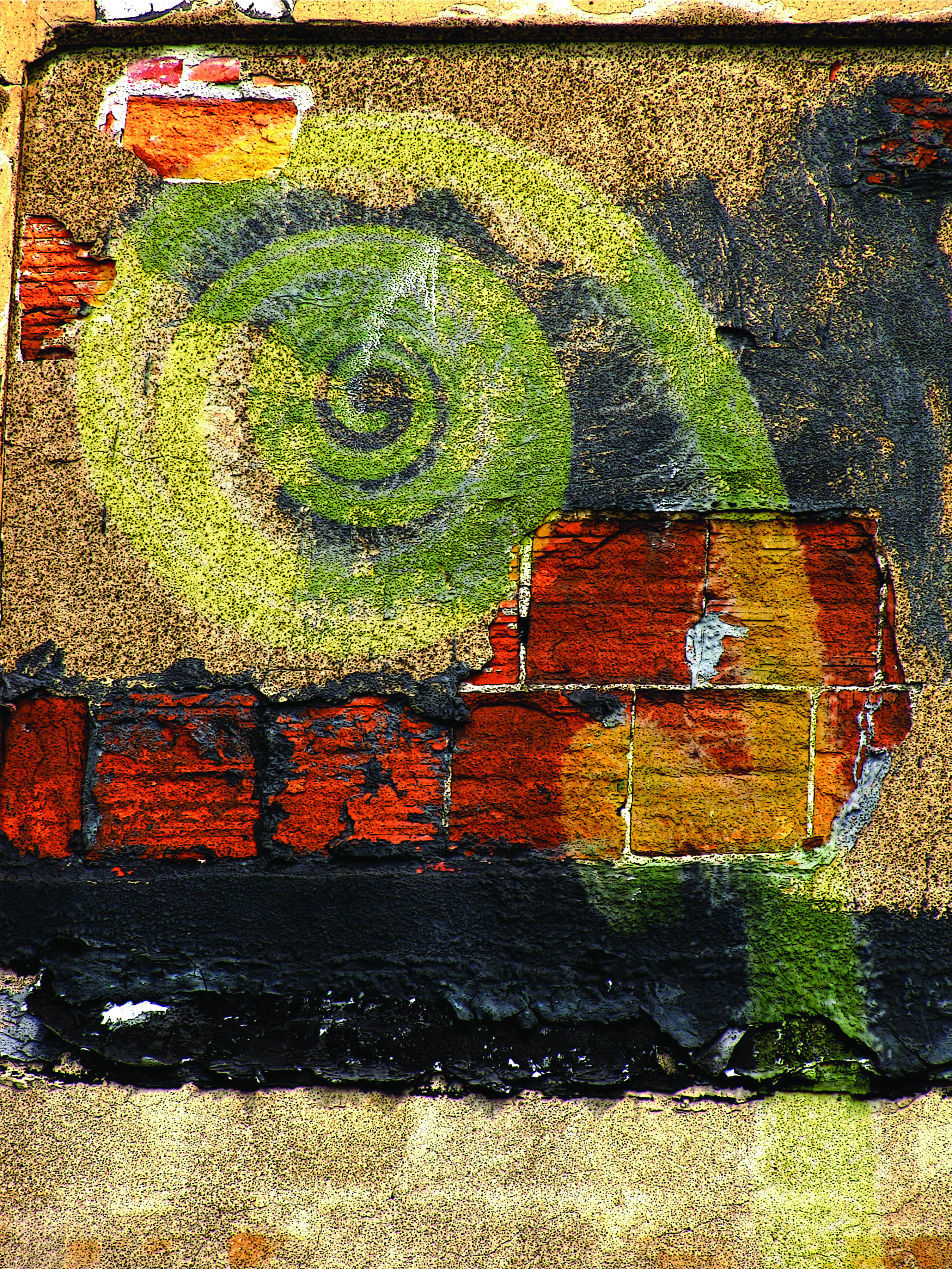 Conflict & Coexistence