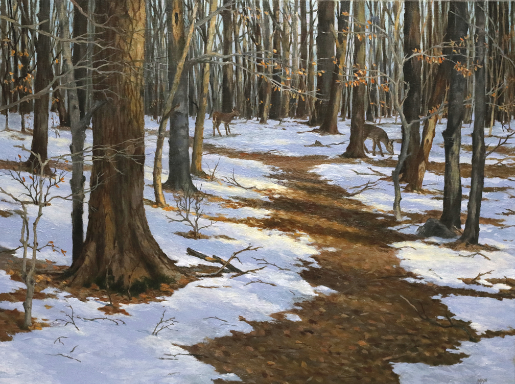 Landscape Composition