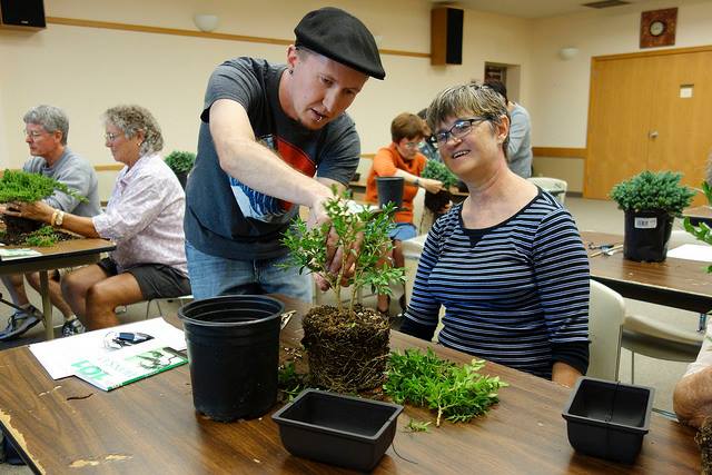 Introduction to Bonsai (postponed)