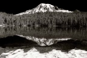 Nature’s Design: Color Not Required