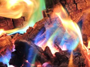 Natural Designs: Photography by VIEW FINDERS