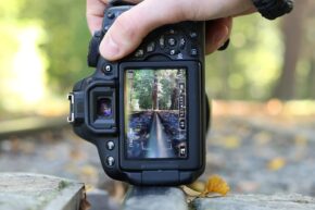 Intro to DSLR Photography