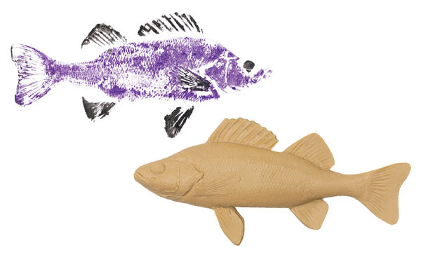Gyotaku: Japanese Fish Printing