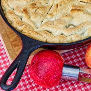 VIEW FINDERS Reception