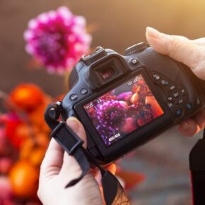 Nature Photography at Olmsted