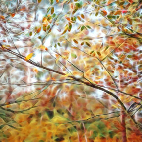 Ann Parker Reception