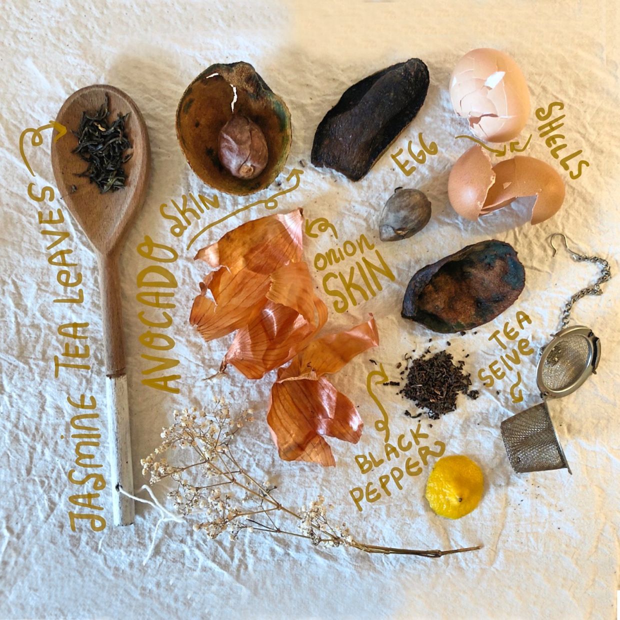 Dyeing with Plants