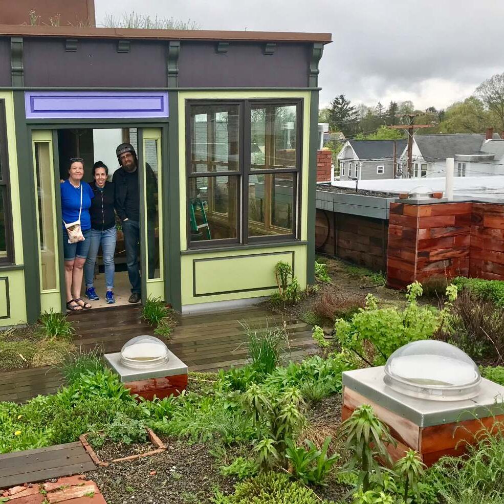 Green Roof Opening