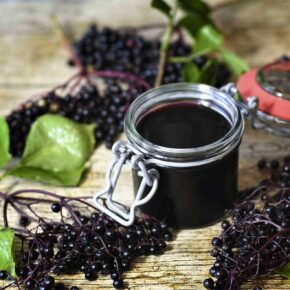 Immune Building with WNY Herbs