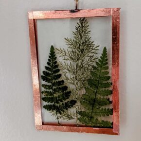 Preserving the Garden: Pressed Flower Art