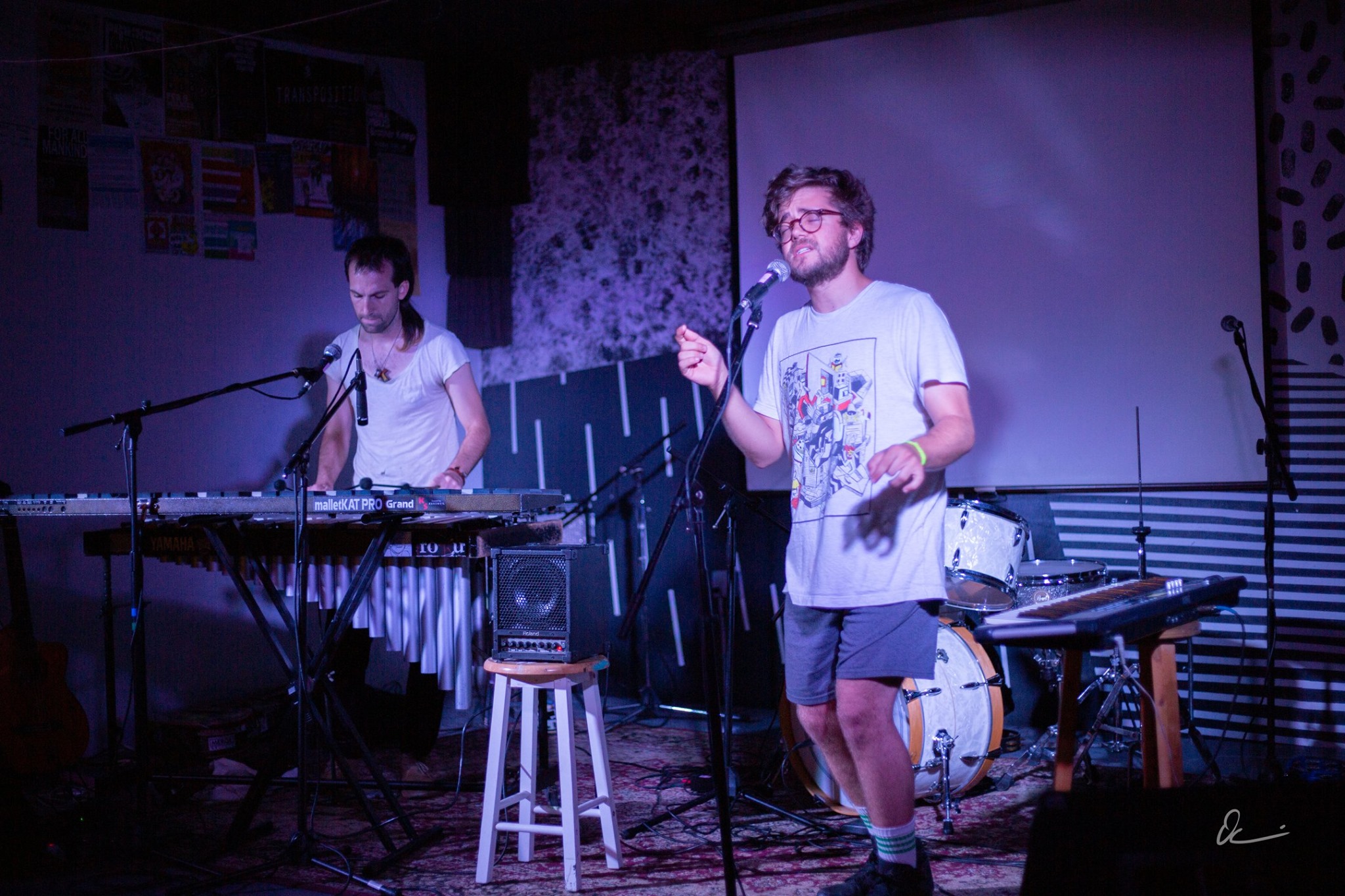 Folk Night Featuring Welks Mice