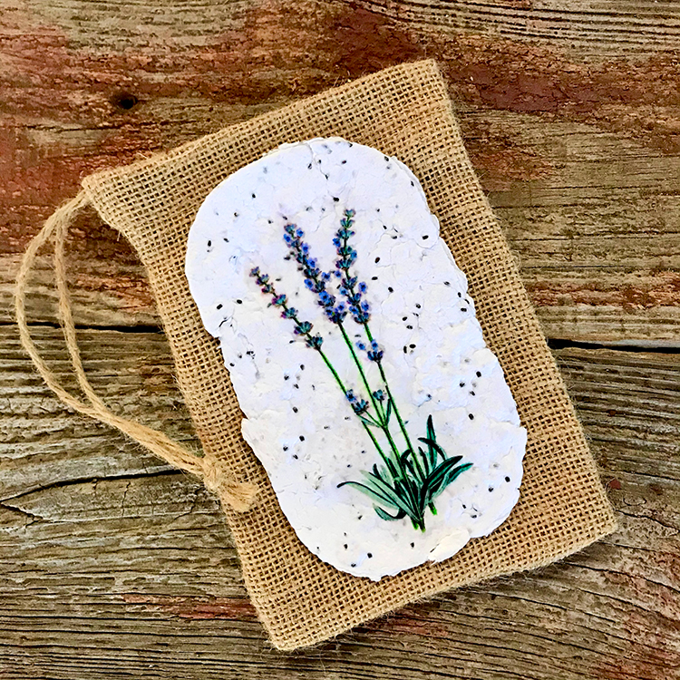 Seed Paper Cards