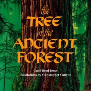 ANCIENT FOREST DAY: KIDS ART & SKIT