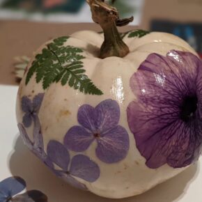 Botanical Pumpkins