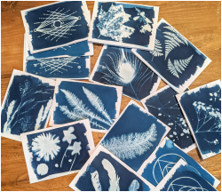 Botanical Blueprints