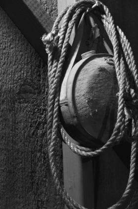 VIEW FINDERS: Shades of Gray